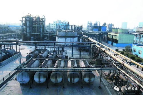 高大上 項目加持,膠州灣東岸這片區(qū)域將再次華麗綻放